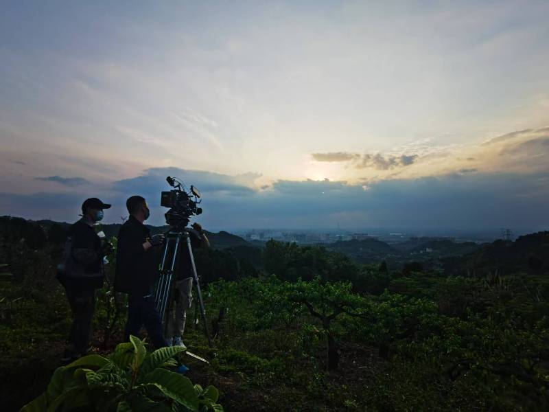 聚焦浉河区产品宣传视频拍摄公司，用专业实力铸就品牌传播传奇