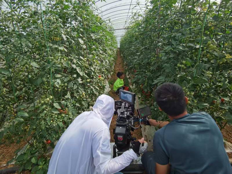 浉河区产品宣传视频拍摄公司进阶指南，助力品牌抢占传播高地